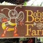 The Bohol Bee Farm