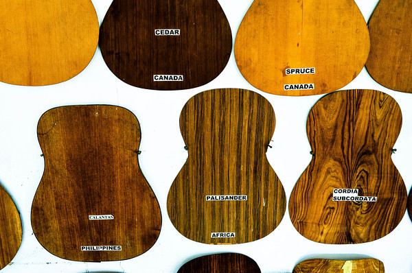 Alegre Guitar Woods