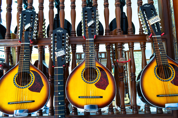 Filipino Bandurria