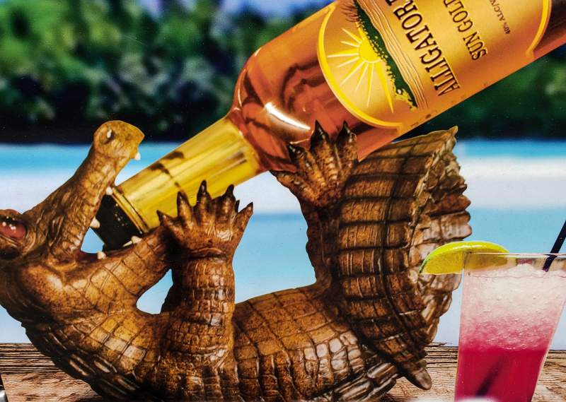 Alligator drinking Rum