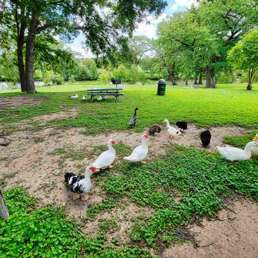 City Park, Bandera Texas