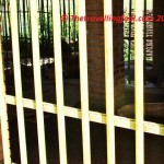 Bear Cage