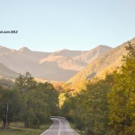 Fall Road