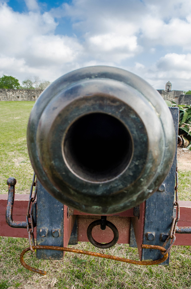 Cannon