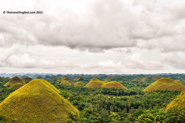 The Chocolate Hills