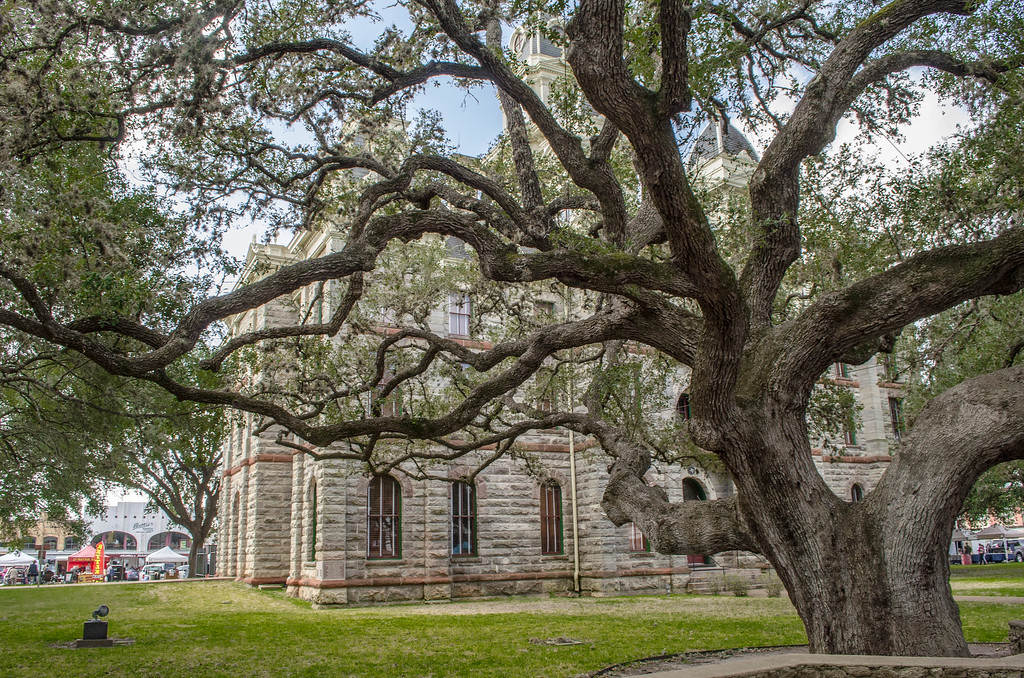 The Hanging Tree, Goliad Texas