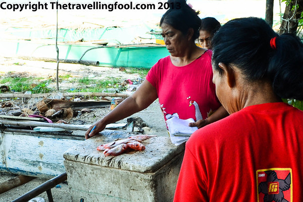Fish Monger