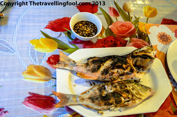 Grilled fish
