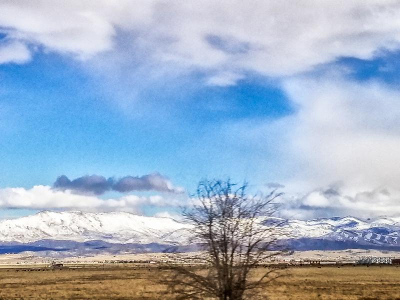 Minden Nevada