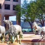 Mustangs at Las Colinas