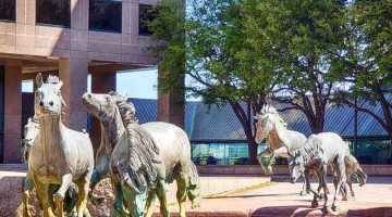 Mustangs at Las Colinas