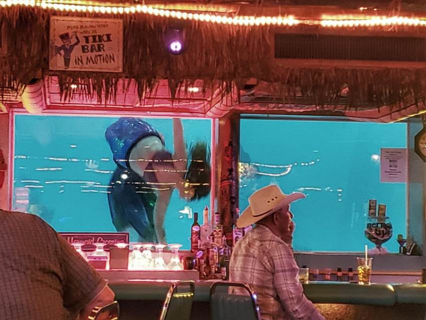 Sip n Dip Lounge Great Falls Montana Mermaid