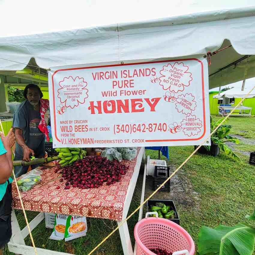 Honey Vendor at  St Croix Farmers Market