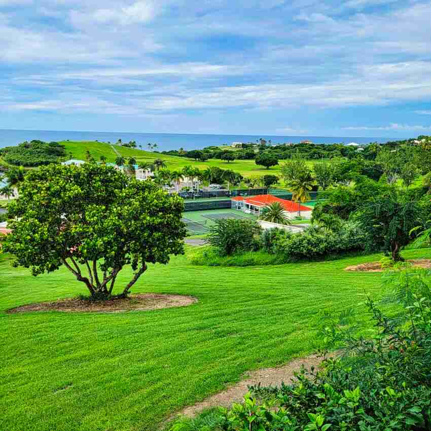 Tennis courts and golf course at The Buccaneer Beach and Golf Resort St Croix US Virgin Islands 