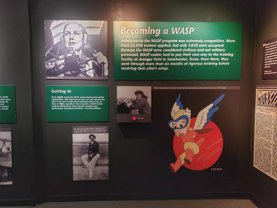 WASP WW2